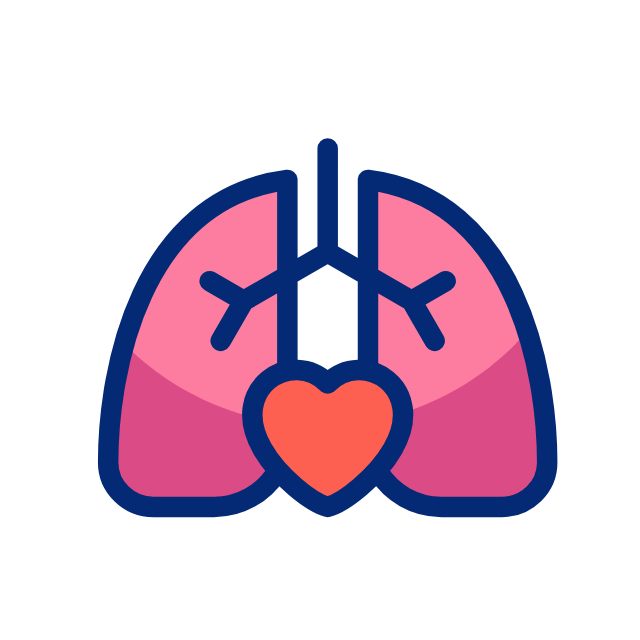 lungs