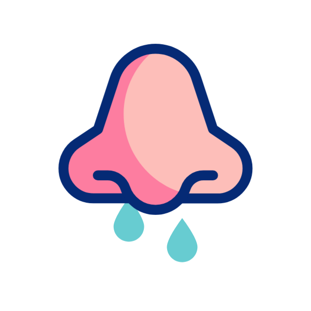 nose